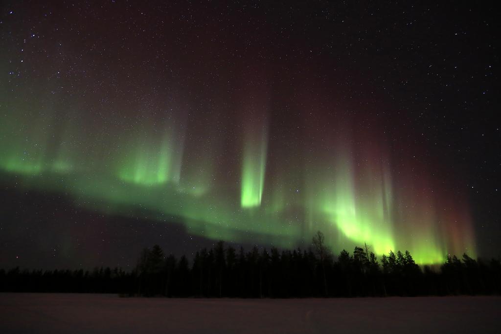 Lapland Northern Lights Hotel Ilveslinna Ranua Exterior photo