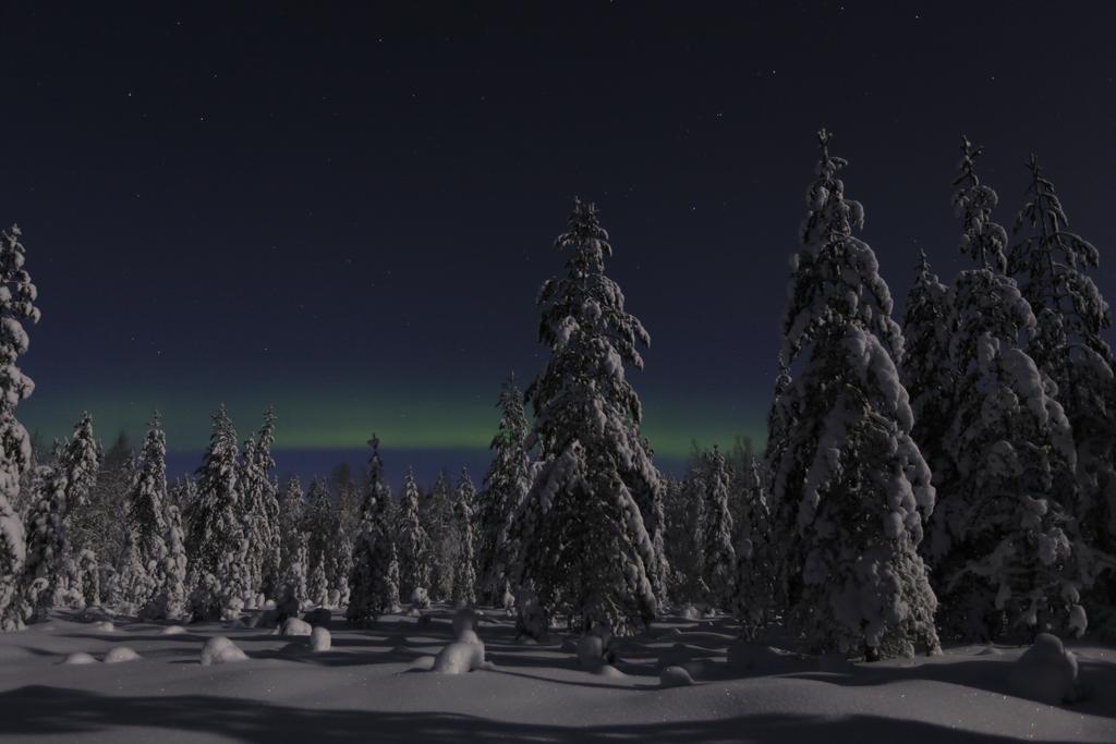 Lapland Northern Lights Hotel Ilveslinna Ranua Exterior photo
