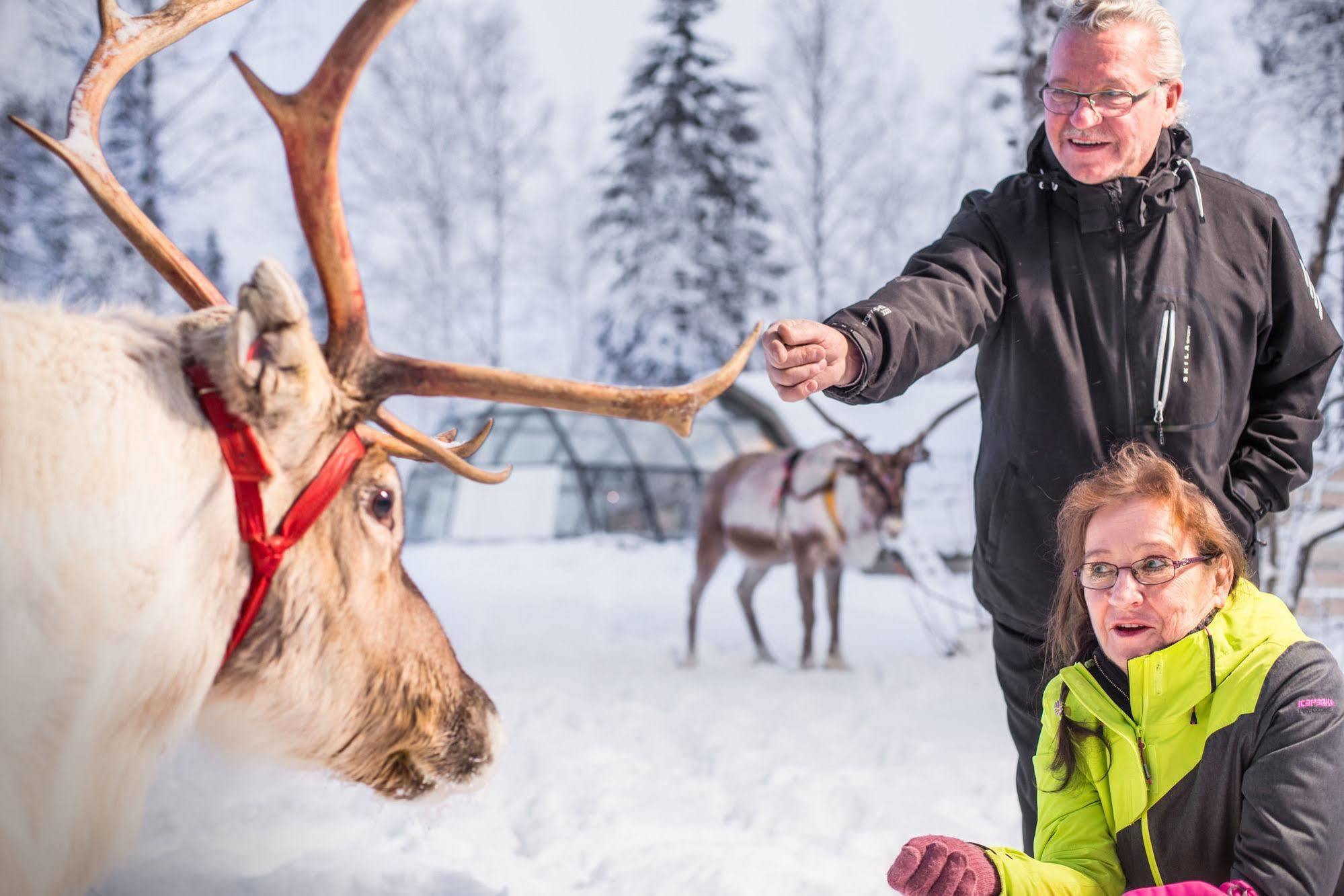 Lapland Northern Lights Hotel Ilveslinna Ranua Exterior photo
