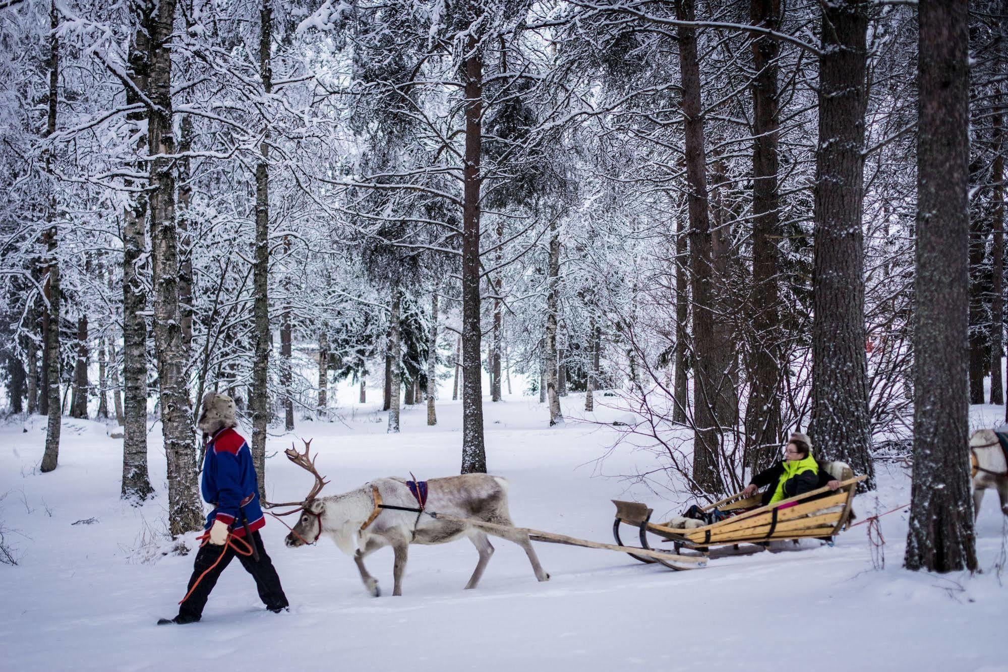Lapland Northern Lights Hotel Ilveslinna Ranua Exterior photo